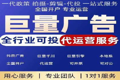 百度竞价与搜索引擎优化（SEO）结合的经典案例